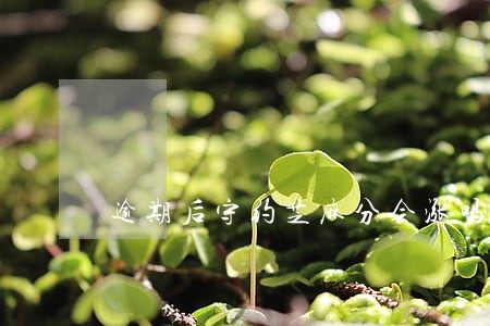 逾期后守约芝麻分会涨吗 逾期后守约芝麻分会涨吗