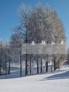 逾期后实在不想接电话