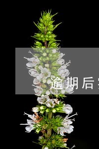 逾期后实际本金怎么算