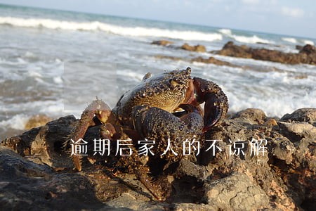 逾期后家人的不谅解