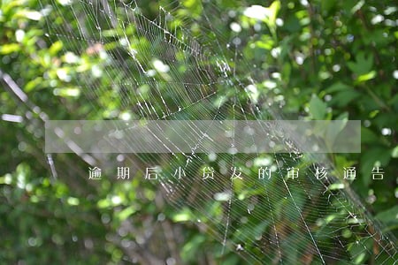 逾期后小贷发的审核通告