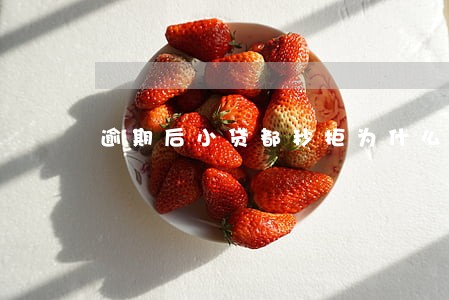 逾期后小贷都秒拒为什么 逾期后小贷都秒拒为什么