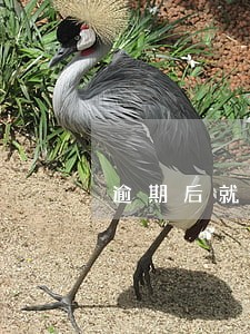 逾期后就不能贷款了吗 逾期后就不能贷款了吗
