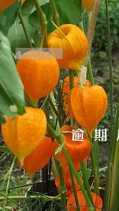 逾期后工作不可以接电话 逾期后工作不可以接电话