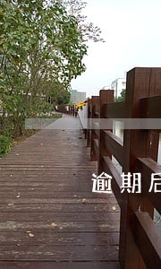逾期后已还款上报征信 逾期后已还款上报征信