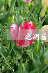 逾期后已还清本期账单 逾期后已还清本期账单