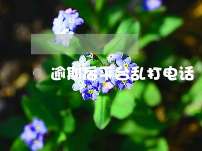 逾期后平台乱打电话
