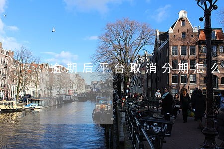 逾期后平台取消分期怎么办 逾期后平台取消分期怎么办