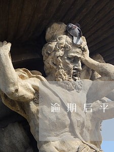 逾期后平安普惠可以借嘛 逾期后平安普惠可以借嘛