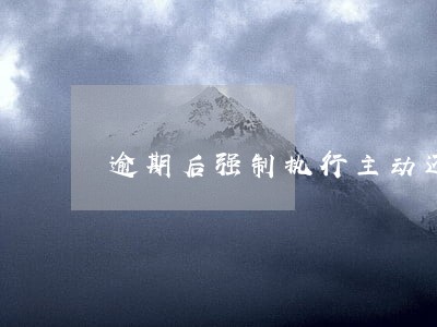 逾期后强制执行主动还款 逾期后强制执行主动还款