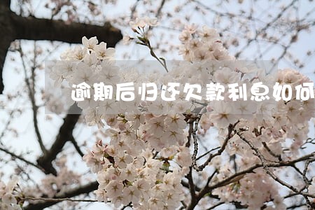 逾期后归还欠款利息如何计算 逾期后归还欠款利息如何计算