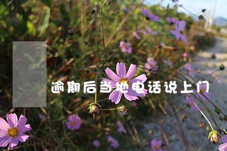 逾期后当地电话说上门 逾期后当地电话说上门