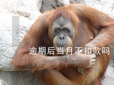 逾期后当月不扣款吗 逾期后当月不扣款吗