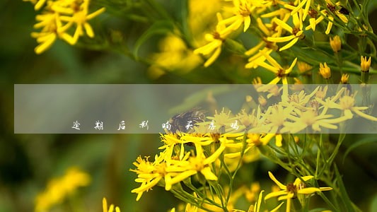 逾期后影响买房吗 逾期后影响买房吗
