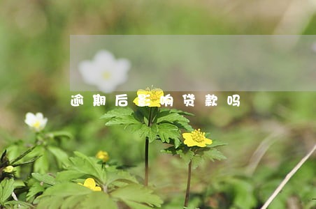 逾期后影响贷款吗 逾期后影响贷款吗
