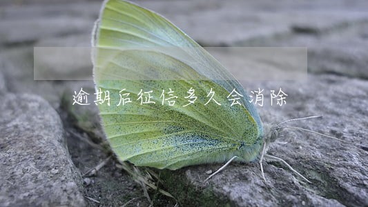 逾期后征信多久会消除 逾期后征信多久会消除