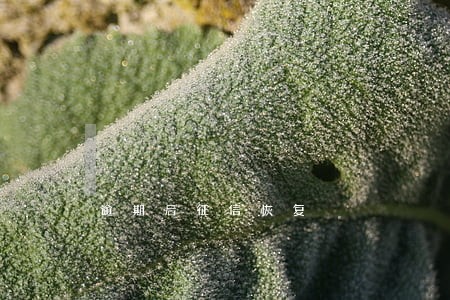 逾期后征信恢复 逾期后征信恢复