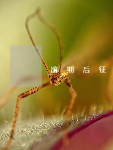 逾期后征信报告显示