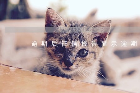 逾期后征信报告显示逾期总额 逾期后征信报告显示逾期总额