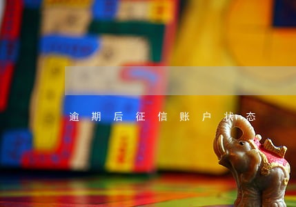 逾期后征信账户状态 逾期后征信账户状态