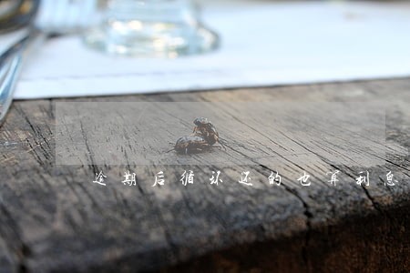 逾期后循环还的也算利息吗 逾期后循环还的也算利息吗