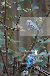 逾期后心态崩溃的图片 逾期后心态崩溃的图片