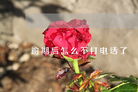 逾期后怎么不打电话了 逾期后怎么不打电话了