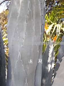 逾期后怎么协商还本金 逾期后怎么协商还本金