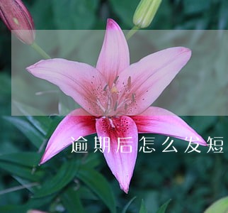 逾期后怎么发短信 逾期后怎么发短信