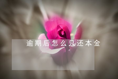 逾期后怎么只还本金 逾期后怎么只还本金
