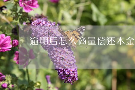 逾期后怎么商量偿还本金 逾期后怎么商量偿还本金
