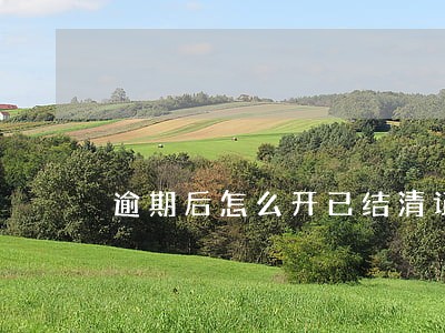 逾期后怎么开已结清证明 逾期后怎么开已结清证明
