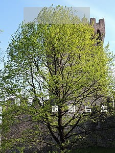 逾期后怎么才能协商一次还清