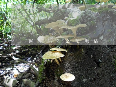 逾期后怎么接电话 逾期后怎么接电话