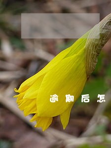 逾期后怎么提高信用分 逾期后怎么提高信用分