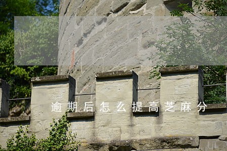 逾期后怎么提高芝麻分 逾期后怎么提高芝麻分