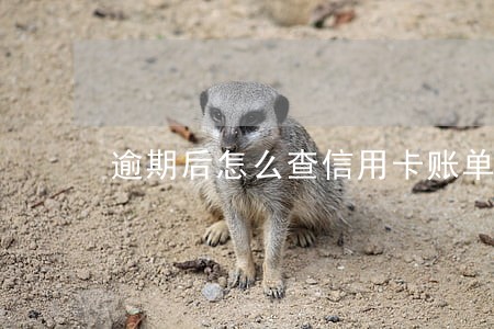 逾期后怎么查信用卡账单 逾期后怎么查信用卡账单