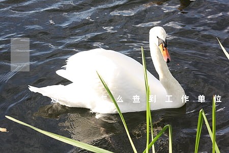 逾期后怎么查到工作单位 逾期后怎么查到工作单位