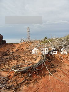 逾期后怎么样提升芝麻信用 逾期后怎么样提升芝麻信用