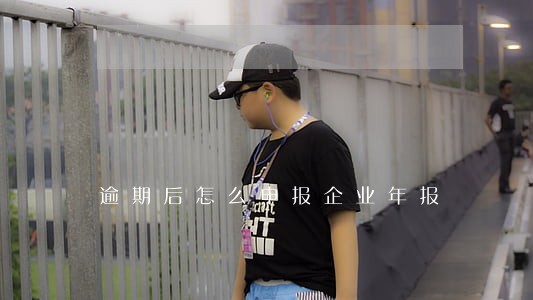 逾期后怎么申报企业年报 逾期后怎么申报企业年报