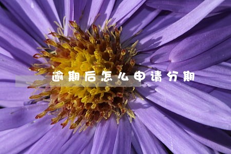 逾期后怎么申请分期 逾期后怎么申请分期
