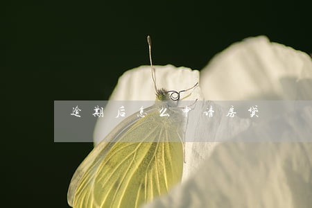 逾期后怎么申请房贷 逾期后怎么申请房贷
