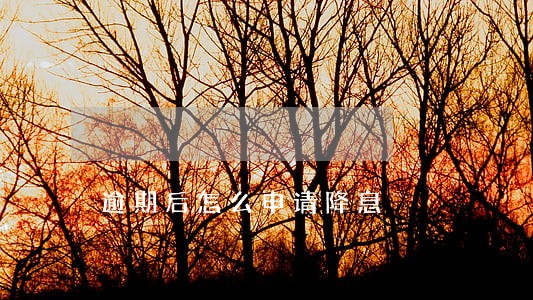 逾期后怎么申请降息 逾期后怎么申请降息