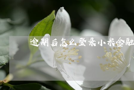 逾期后怎么登录小米金融 逾期后怎么登录小米金融