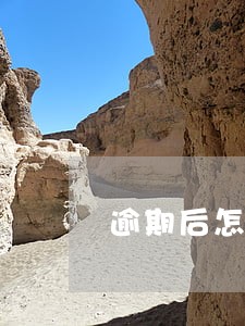 逾期后怎么算利息怎么算 逾期后怎么算利息怎么算