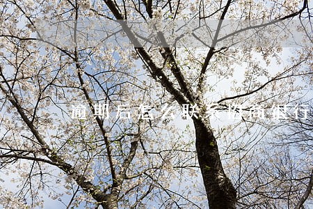 逾期后怎么联系招商银行协商 逾期后怎么联系招商银行协商