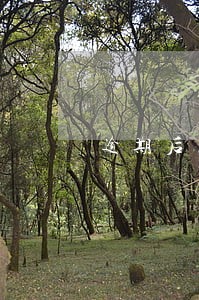 逾期后怎么走法律程序有哪些 逾期后怎么走法律程序有哪些