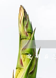 逾期后怎么防止爆通讯录