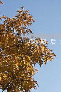 逾期后怎么防止紧急联系人被骚扰 逾期后怎么防止紧急联系人被骚扰