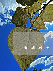 逾期后怎么预防乱扣钱 逾期后怎么预防乱扣钱